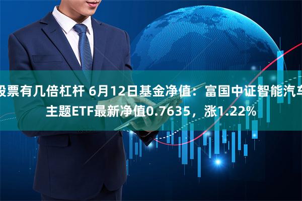 股票有几倍杠杆 6月12日基金净值：富国中证智能汽车主题ETF最新净值0.7635，涨1.22%