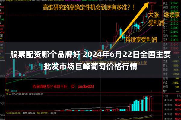 股票配资哪个品牌好 2024年6月22日全国主要批发市场巨峰葡萄价格行情