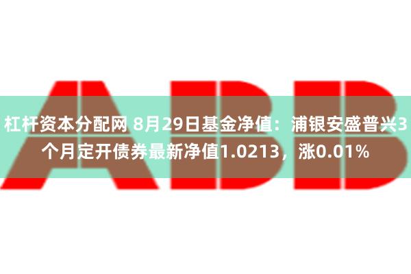 杠杆资本分配网 8月29日基金净值：浦银安盛普兴3个月定开债券最新净值1.0213，涨0.01%