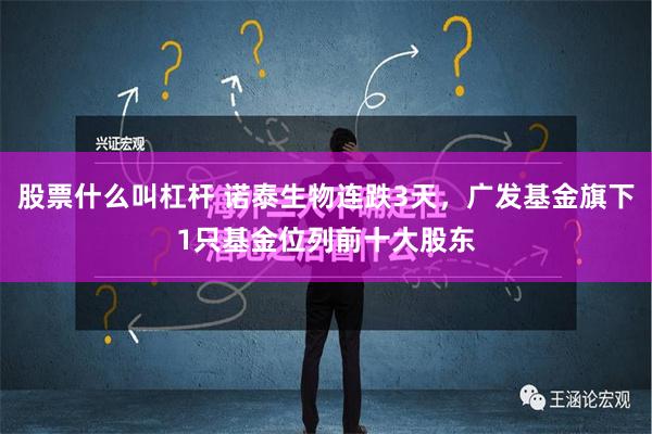 股票什么叫杠杆 诺泰生物连跌3天，广发基金旗下1只基金位列前十大股东