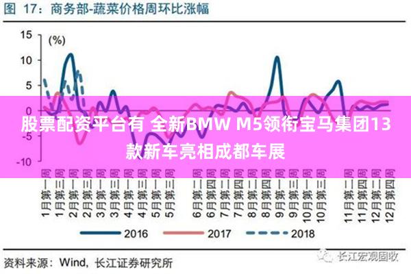 股票配资平台有 全新BMW M5领衔宝马集团13款新车亮相成都车展