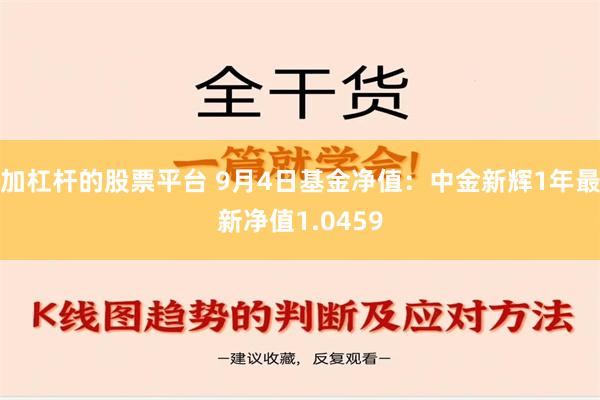 加杠杆的股票平台 9月4日基金净值：中金新辉1年最新净值1.0459