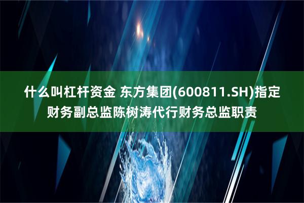 什么叫杠杆资金 东方集团(600811.SH)指定财务副总监陈树涛代行财务总监职责