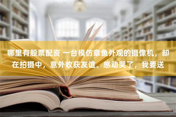 哪里有股票配资 一台模仿章鱼外观的摄像机，却在拍摄中，意外收获友谊。感动哭了，我要送