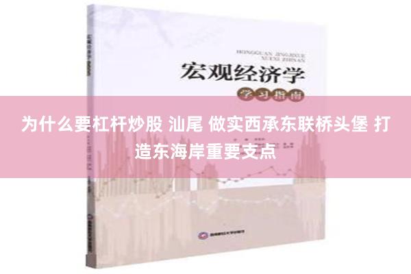 为什么要杠杆炒股 汕尾 做实西承东联桥头堡 打造东海岸重要支点