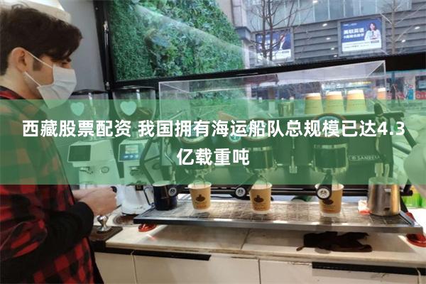 西藏股票配资 我国拥有海运船队总规模已达4.3亿载重吨