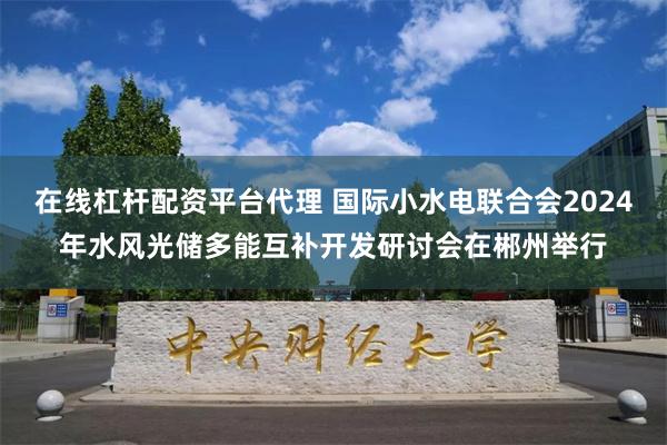 在线杠杆配资平台代理 国际小水电联合会2024年水风光储多能互补开发研讨会在郴州举行