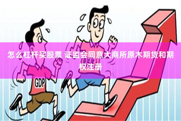 怎么杠杆买股票 证监会同意大商所原木期货和期权注册