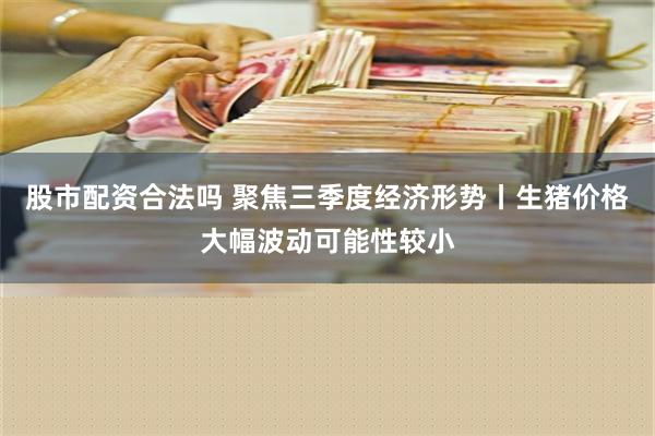 股市配资合法吗 聚焦三季度经济形势丨生猪价格大幅波动可能性较小