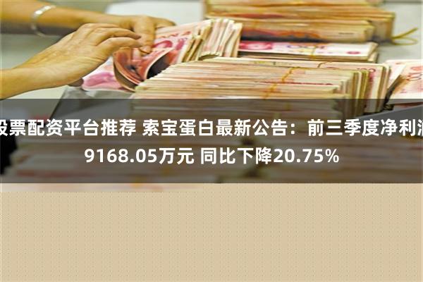 股票配资平台推荐 索宝蛋白最新公告：前三季度净利润9168.05万元 同比下降20.75%