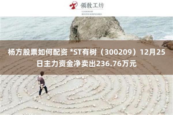 杨方股票如何配资 *ST有树（300209）12月25日主力资金净卖出236.76万元