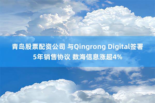 青岛股票配资公司 与Qingrong Digital签署5年销售协议 数海信息涨超4%