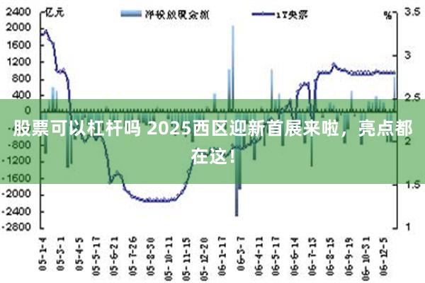 股票可以杠杆吗 2025西区迎新首展来啦，亮点都在这！