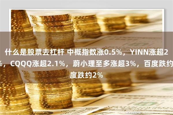 什么是股票去杠杆 中概指数涨0.5%，YINN涨超2.9%，CQQQ涨超2.1%，蔚小理至多涨超3%，百度跌约2%