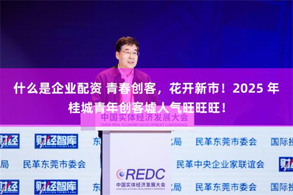 什么是企业配资 青春创客，花开新市！2025 年桂城青年创客墟人气旺旺旺！